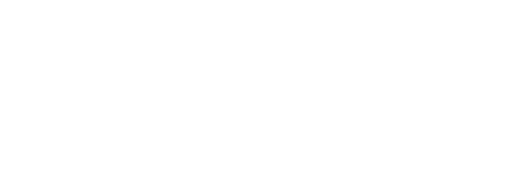Pioneer Invest